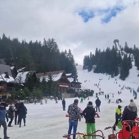 Dom wakacyjny Endzi Travnik